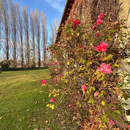 Gradenigo Bed & Breakfast